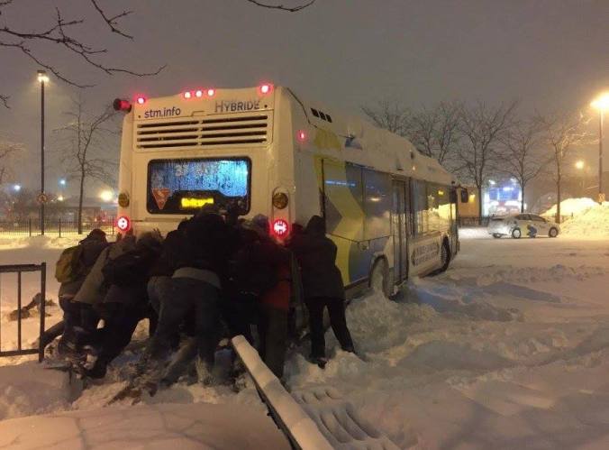 La solidarité de la neige