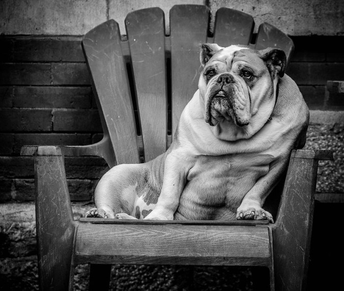 Journal de quarantaine #4