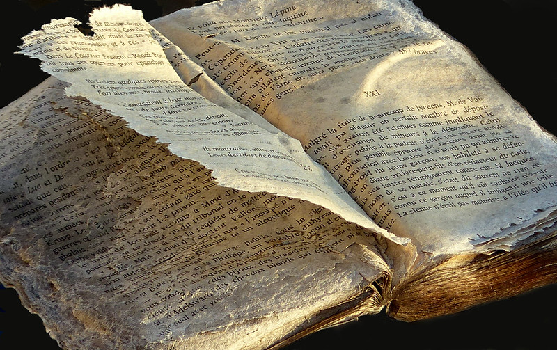 Journal de quarantaine #43